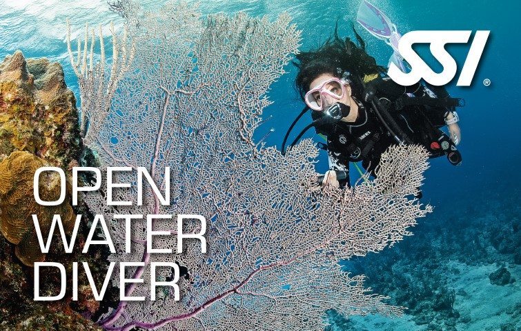 SSI Open Water Diver | SSI Open Water Diver Course | Open Water Diver | Basic Course | Diving Course | Eko Divers