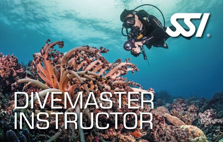 SSI Divemaster Instructor | SSI Divemaster Instructor Course | Divemaster Instructor | Professional Course | Diving Course | Eko Divers