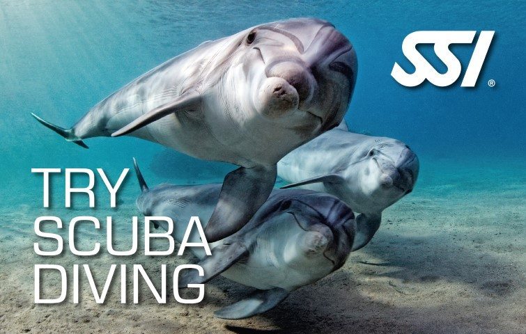 SSI Try Scuba Diving | SSI Try Scuba Diving Course | Try Scuba Diving | Basic Course | Diving Course | Eko Divers