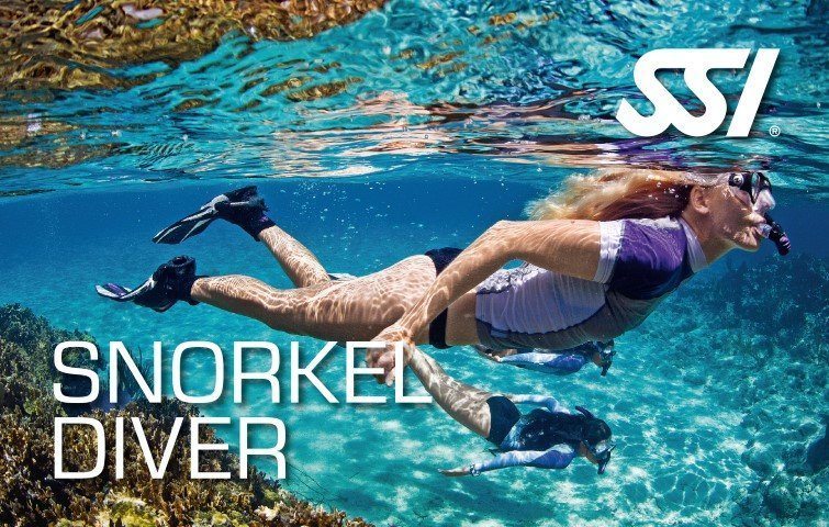 SSI Snorkel Diver Course | SSI Snorkel Diver | Snorkel Diver | Diving Course | Eko Divers