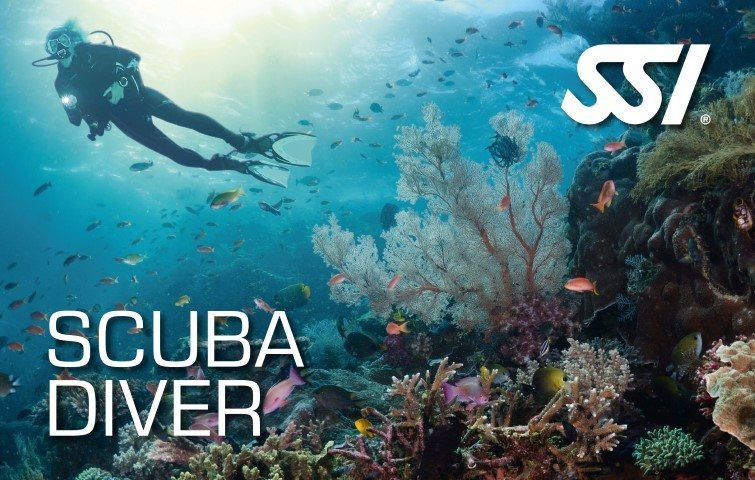 SSI Scuba Diver Course | SSI Scuba Diver | Scuba Diver | Diving Course | Eko Divers