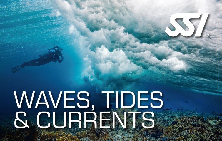 SSI Waves Tides Currents Diving | SSI Waves Tides Currents Course | Waves Tides Currents | Specialty Course | Diving Course | Eko Divers