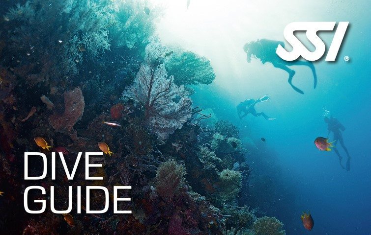 SSI Dive Guide Small Course | SSI Dive Guide Small | Dive Guide Small | Eko Divers | Diving Course