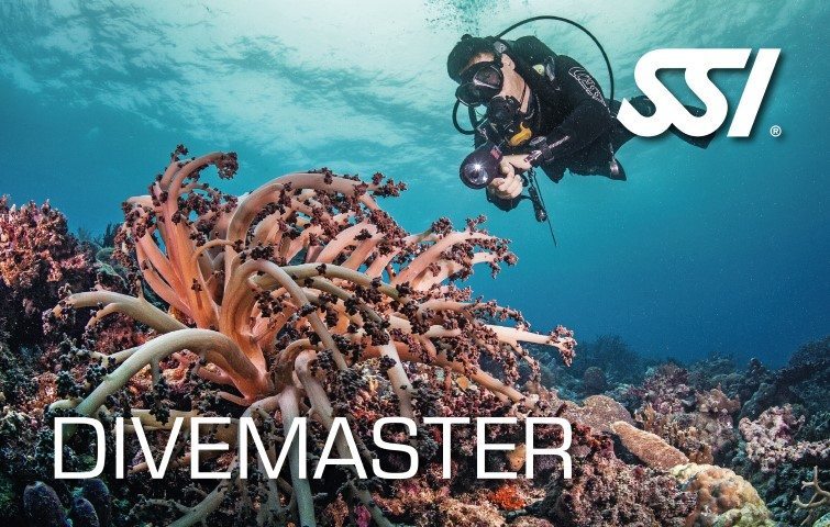 SSI Divemaster Course | SSI Divemaster Course | Divemaster | Professional Course | Eko Divers