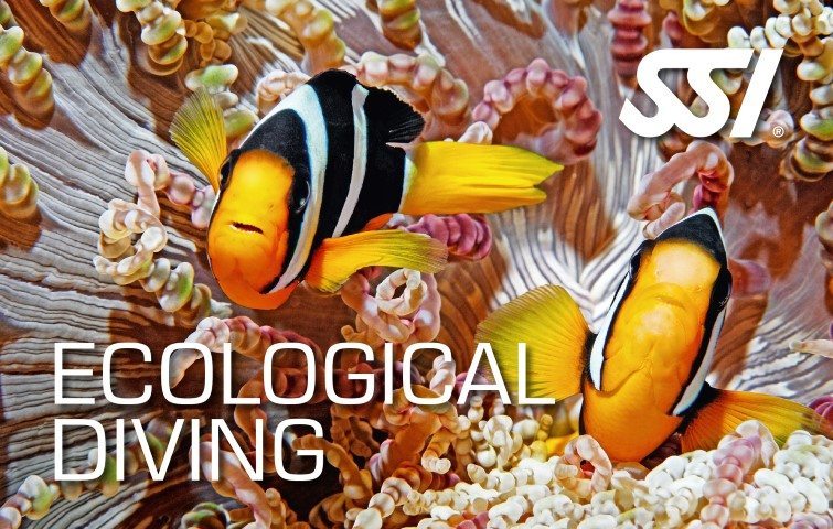 SSI Ecological Diving Course | SSI Ecological Diving | Ecological Diving | Diving Course | Eko Divers