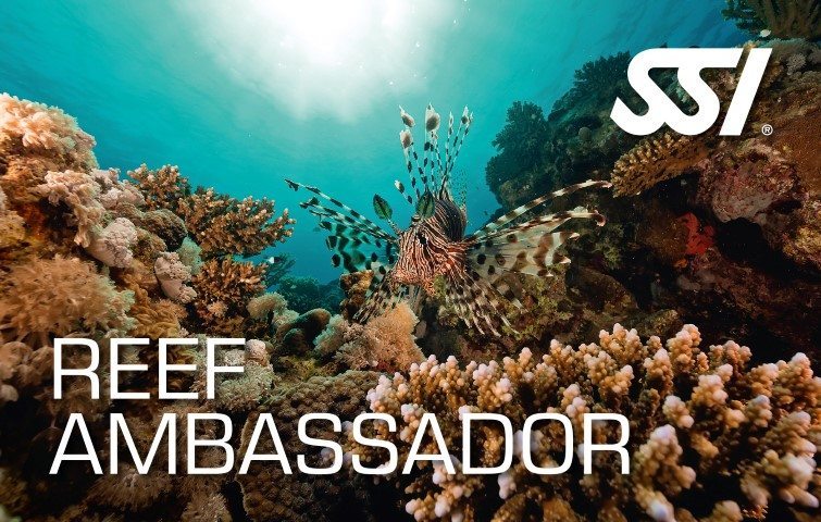 SSI Reef Ambassador Course | SSI Reef Ambassador | Reef Ambassador | Diving Course | Eko Divers